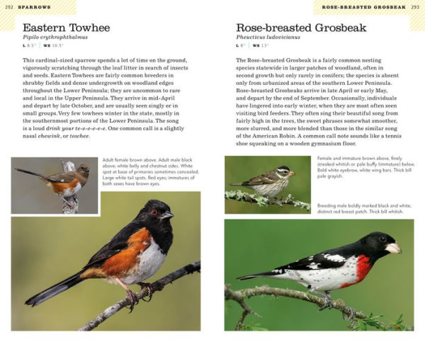 American Birding Association Field Guide to Birds of Michigan