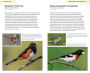 Alternative view 2 of American Birding Association Field Guide to Birds of Michigan