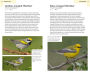 Alternative view 3 of American Birding Association Field Guide to Birds of Michigan