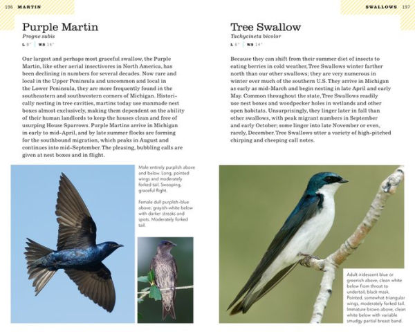 American Birding Association Field Guide to Birds of Michigan