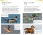 Alternative view 5 of American Birding Association Field Guide to Birds of Michigan