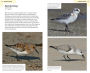 Alternative view 7 of American Birding Association Field Guide to Birds of Michigan