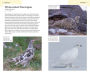 Alternative view 3 of American Birding Association Field Guide to Birds of Washington