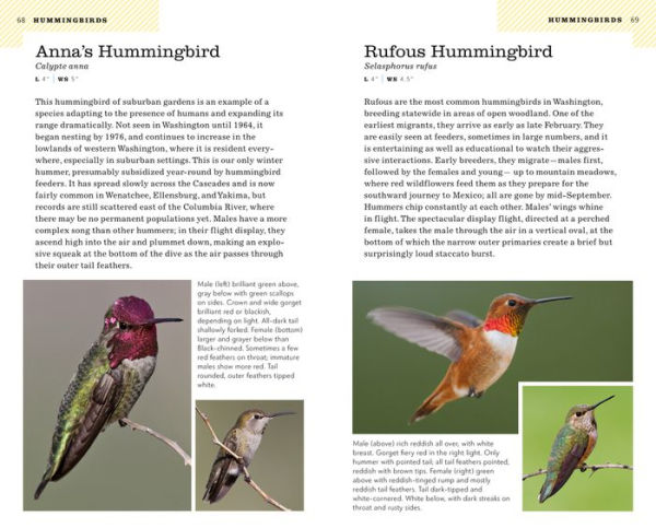 American Birding Association Field Guide to Birds of Washington