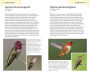 Alternative view 4 of American Birding Association Field Guide to Birds of Washington