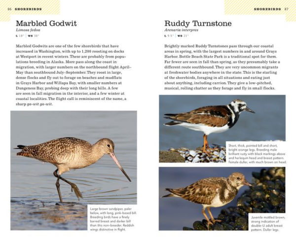 American Birding Association Field Guide to Birds of Washington