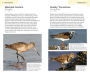 Alternative view 5 of American Birding Association Field Guide to Birds of Washington