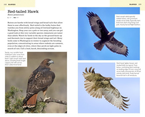 American Birding Association Field Guide to Birds of Washington