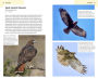 Alternative view 6 of American Birding Association Field Guide to Birds of Washington