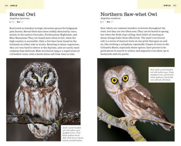 American Birding Association Field Guide to Birds of Washington