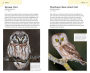 Alternative view 7 of American Birding Association Field Guide to Birds of Washington