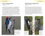 Alternative view 8 of American Birding Association Field Guide to Birds of Washington