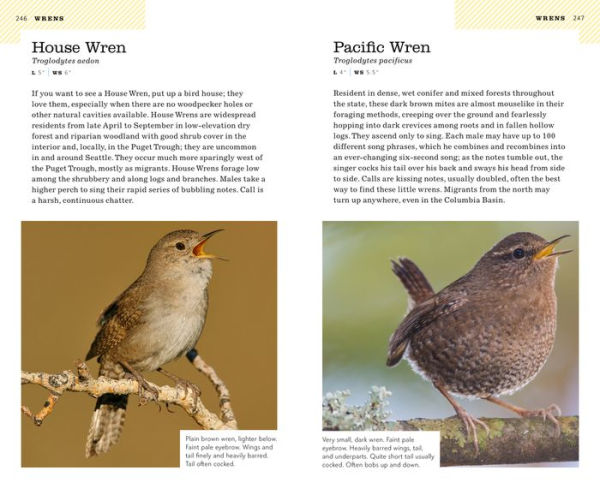 American Birding Association Field Guide to Birds of Washington