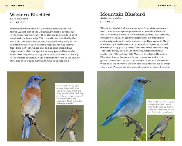 American Birding Association Field Guide to Birds of Washington