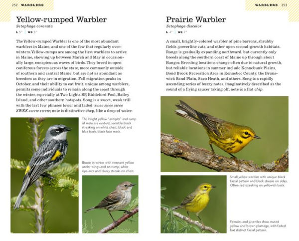 American Birding Association Field Guide to Birds of Maine