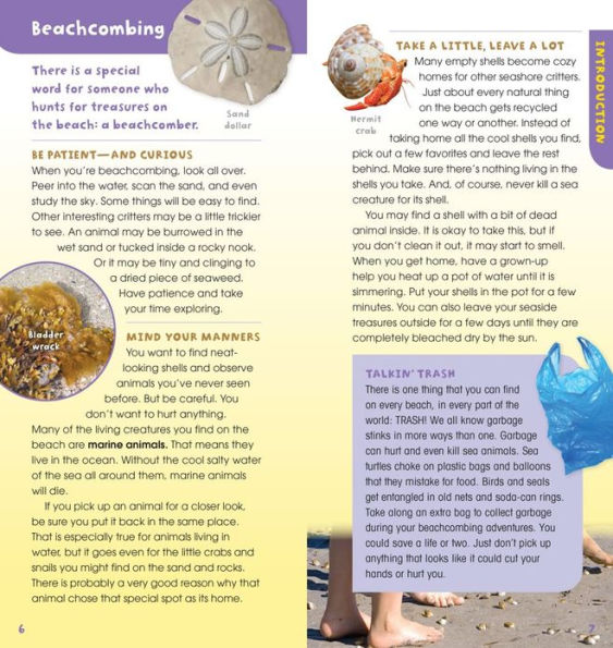 A Walk on the Beach: Into the Field Guide (Treasure Box)
