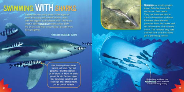 Barnes and Noble Sensational Sharks: Fun Science Facts About