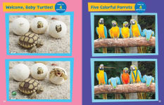 Alternative view 13 of Spot the Differences: Adorable Animals!: 50 Totally Engaging Puzzles!
