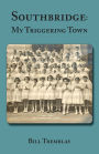 Southbridge: My Triggering Town
