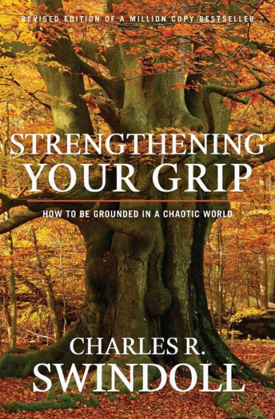 Strengthening Your Grip: How to be Grounded a Chaotic World