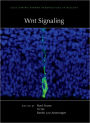 Wnt Signaling