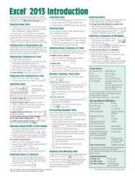 Title: Microsoft Excel 2013 Introduction Quick Reference Guide (Cheat Sheet of Instructions, Tips & Shortcuts - Laminated Card), Author: Beezix