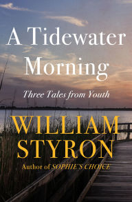 Title: A Tidewater Morning: Three Tales from Youth, Author: William Styron