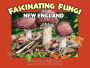 Fascinating Fungi of New England