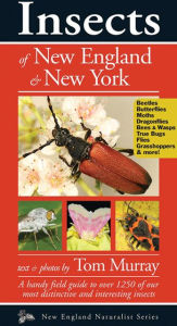 Title: Insects of New England & New York, Author: Tom Murray