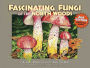 Fascinating Fungi of the North Woods