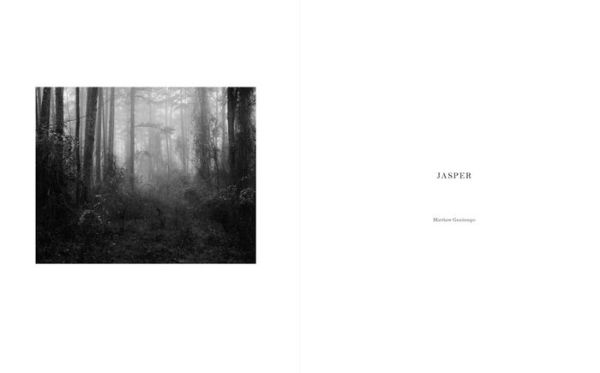 Matthew Genitempo: Jasper