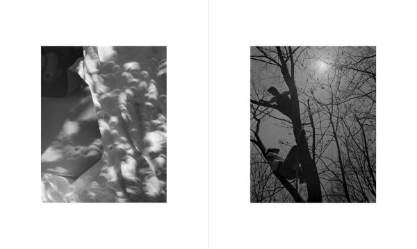 Henry O. Head: Twelve Acres