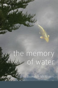 Title: The Memory of Water, Author: Brendan McBreen