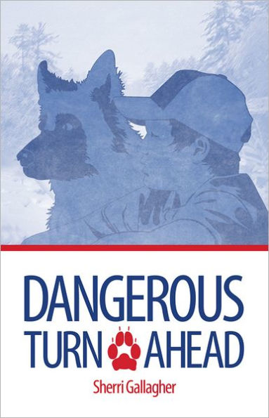 Dangerous Turn Ahead