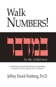 Title: Walk Numbers: In the wilderness, Author: Jeffrey Enoch Ph.D. Feinberg