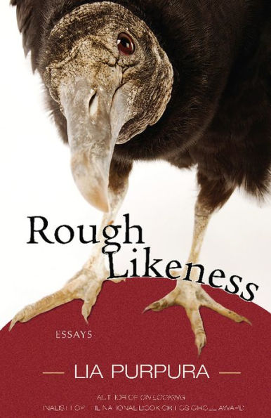 Rough Likeness: Essays