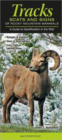 Tracks, Scats and Signs of Rocky Mountain Mammals: A Guide to Identification in the Wild
