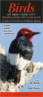 Birds of New York City, including Central Park and Long Island: A Guide to Common and Notable Species