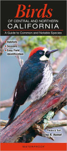 Title: Birds of Central and Northern California: A Guide to Common and Notable Species, Author: Greg R. Homel