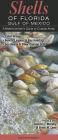 Shells of Florida/Gulf of Mexico: A Beachcomber's Guide to Coastal Areas