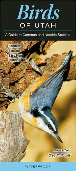 Birds of Utah: A Guide to Common and Notable Species