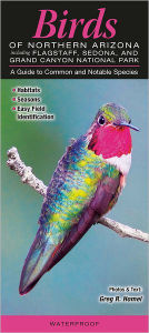 Title: Birds of Northern Arizona Including Grand Canyon National Park, Flagstaff and Sedona: A Guide to Common and Notable Species, Author: Greg R. Homel