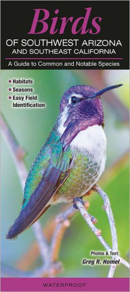 Birds of Southwest Arizona: A Guide to Common and Notable Species