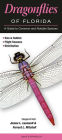 Dragonflies of Florida: A Guide to Common and Notable Species