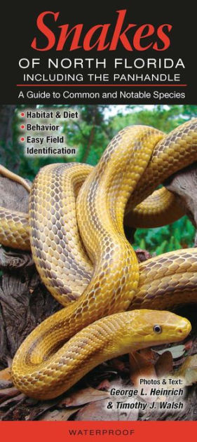 Snakes of North Florida Including the Panhandle: A Guide to Common and ...