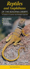 Reptiles and Amphibians of the Sonoran Desert: A Guide to Common and Notable Species