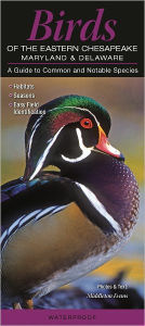 Title: Birds of the Eastern Chesapeake - Maryland and Delaware: A Guide to Common and Notable Species, Author: Middleton Evans