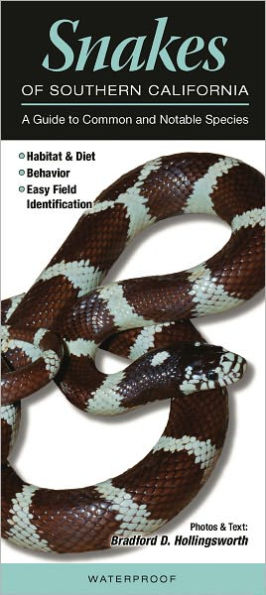 Snakes of Southern California: A Guide to Common and Notable Species