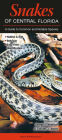 Snakes of Central Florida: A Guide to Common and Notable Species
