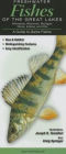 Freshwater Fishes of the Great Lakes: A Guide to Common & Notable Species